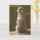 Meerkat Birthday Card Karte (Gelbe Blume)