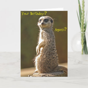 Meerkat Birthday Card Karte
