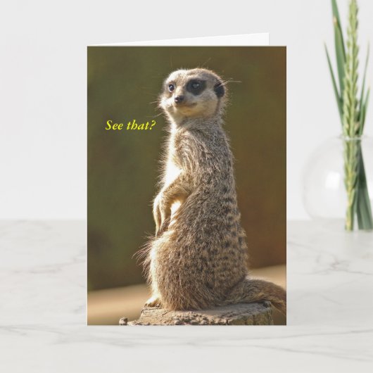 Meerkat Birthday Card Sehen Sie das? c Karte (Vorderseite)