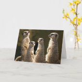 Meerkat Birthday Grußkarte Karte (Gelbe Blume)
