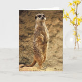 Meerkat - Blank Greeting Card Karte (Gelbe Blume)