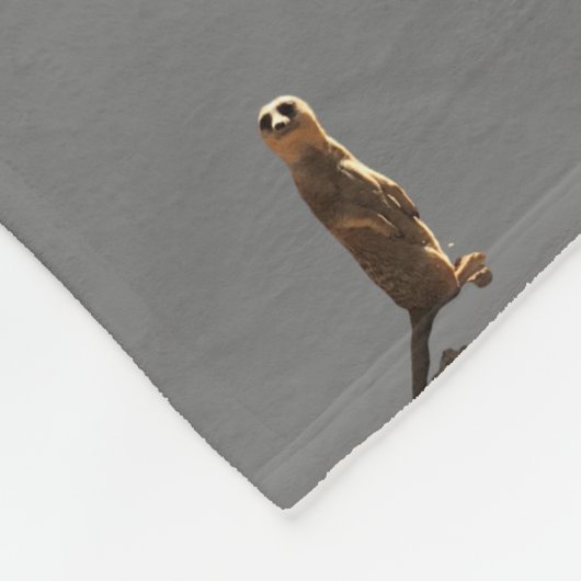 Meerkat Blanket Fleecedecke (Ecke)