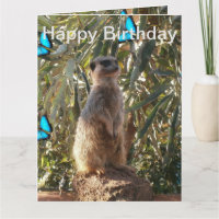 Meerkat Blue Butterflies, Jumbo Birthday Card.