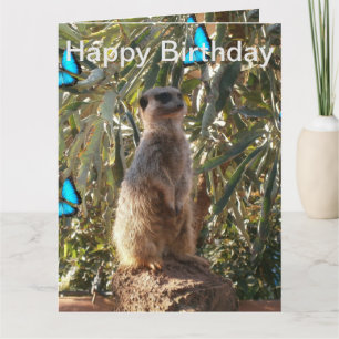 Meerkat Blue Butterflies, Jumbo Birthday Card. Karte
