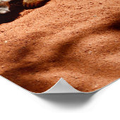 Meerkat Bug Eliminator, Poster (Ecke)