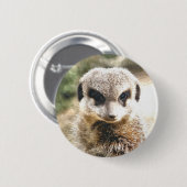 MEERKAT BUTTON (Vorne & Hinten)
