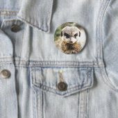 MEERKAT BUTTON (Beispiel)