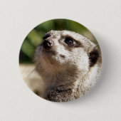 MEERKAT BUTTON (Vorderseite)