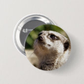 MEERKAT BUTTON (Vorne & Hinten)