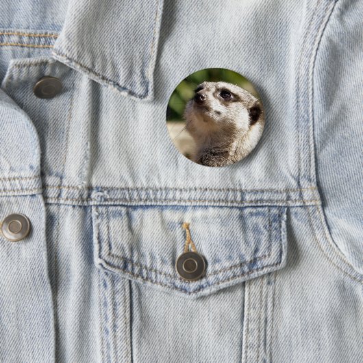 MEERKAT BUTTON (Beispiel)