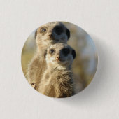 Meerkat Button (Vorderseite)