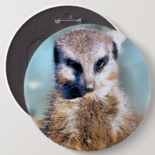 MEERKAT BUTTON (Vorne & Hinten)