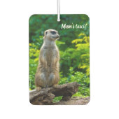 Meerkat Car Lufterfrischer (Vorderseite)