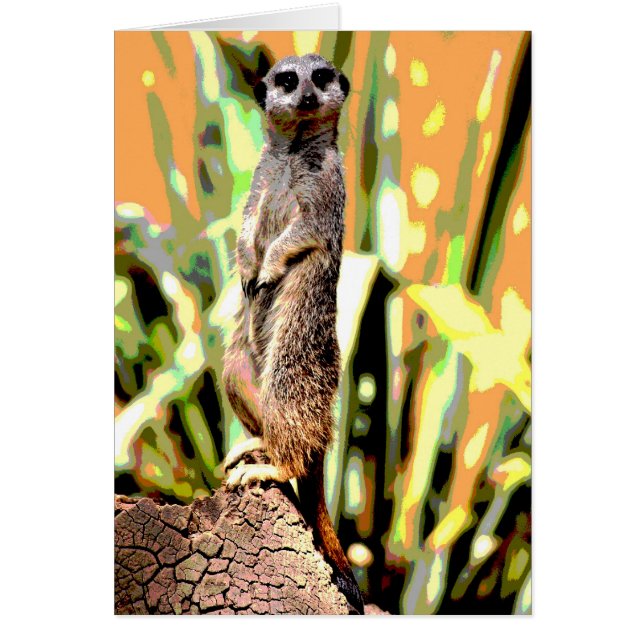 Meerkat Card (Vorne)