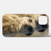 Meerkat Case-Mate iPhone Hülle (Rückseite (Horizontal))