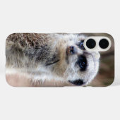 meerkat Case-Mate iPhone hülle (Rückseite (Horizontal))
