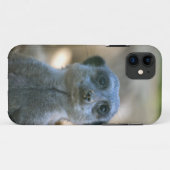 Meerkat Case-Mate iPhone Hülle (Rückseite (Horizontal))
