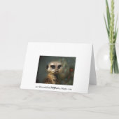 Meerkat Christmas Feiertagskarte (Rückseite)