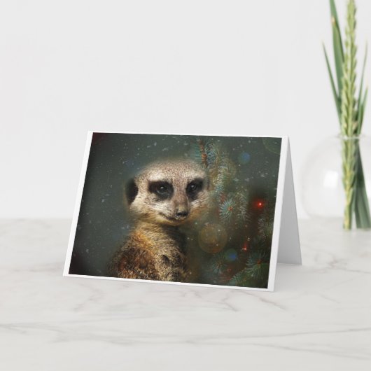Meerkat Christmas Feiertagskarte (Vorderseite)