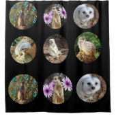 Meerkat Collage, Duschvorhang (Vorderseite)