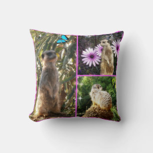 Meerkat,_Collage_Lounge_Cushion Kissen