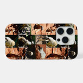 Meerkat Collection Photo Collage, iPhone Hülle (Rückseite (Horizontal))
