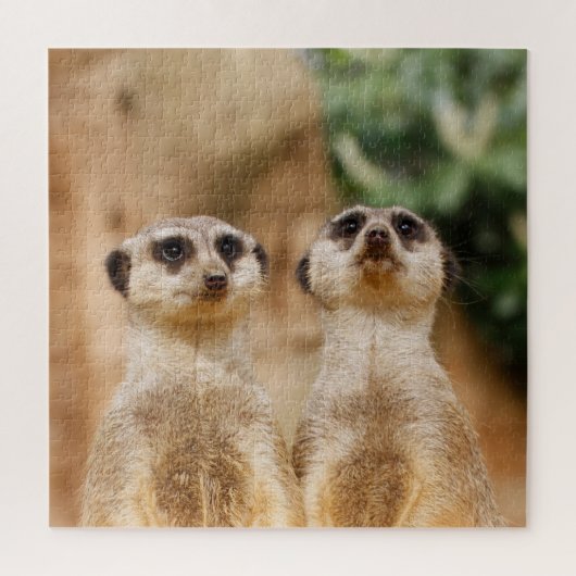 Meerkat Couple 003 Puzzle (Vertikal)