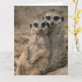 Meerkat-Couple Karte (Gelbe Blume)