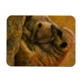 Meerkat Cuddle - erdgetönte Malerei auf wild leben Magnet (Horizontal)