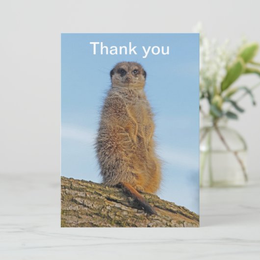 Meerkat Dankeskarte (Stehend Vorderseite)