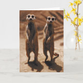 Meerkat Duo Karte (Gelbe Blume)