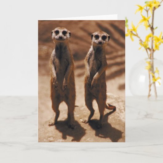 Meerkat Duo Karte (Gelbe Blume)