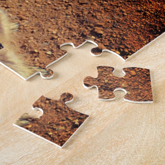 Meerkat Enclosure, Drusillas Park Puzzle (Seite)