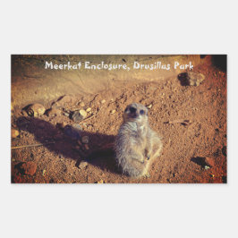 Meerkat Enclosure, Drusillas Park Sticker