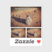 Meerkat Enclosure, Drusillas Park Sticker (Blatt)