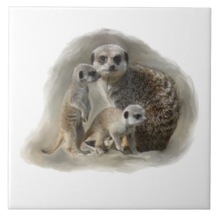 meerkat Familie Fliese