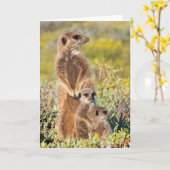 Meerkat Family Portrait Karte (Gelbe Blume)
