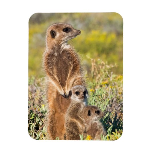 Meerkat Family Portrait Magnet (Vertikal)