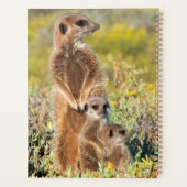 Meerkat Family Portrait Planer (Rückseite)
