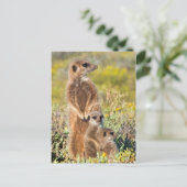 Meerkat Family Portrait Postkarte (Stehend Vorderseite)