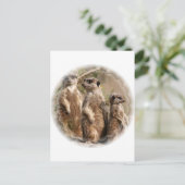 Meerkat Family Postcard Postkarte (Stehend Vorderseite)