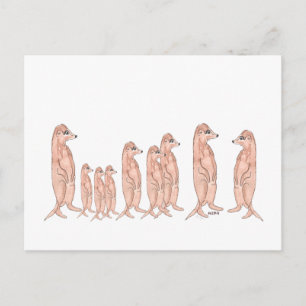 Meerkat Family Postcard Postkarte