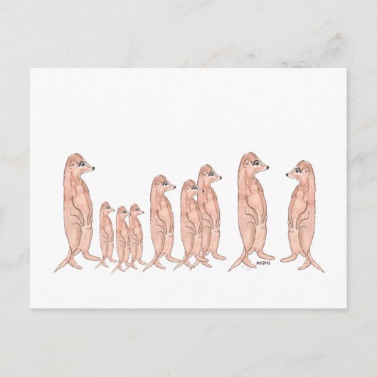 Meerkat Family Postcard Postkarte (Vorderseite)