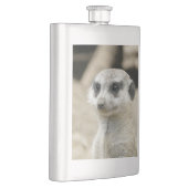 Meerkat Flachmann (Rechts)