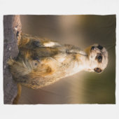 MEERKAT FLEECEDECKE (Vorderseite (Horizontal))