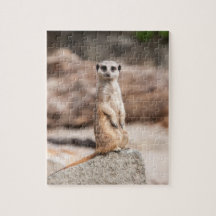 Meerkat Foto-Puzzlespiel