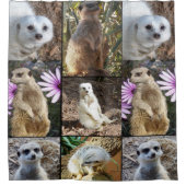 Meerkat FotoCollage, Duschvorhang (Vorderseite)