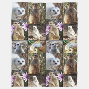 Meerkat FotoCollage, Grosses Fleece Blanket.