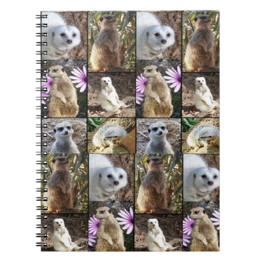 Meerkat FotoCollage, Notizblock (Vorderseite)