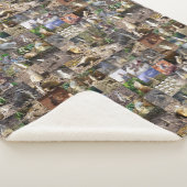 Meerkat FotoCollage, Sherpadecke (3/4)